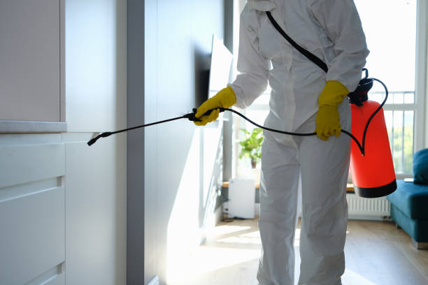 Best Certified Mold Removal  in Connerton, FL